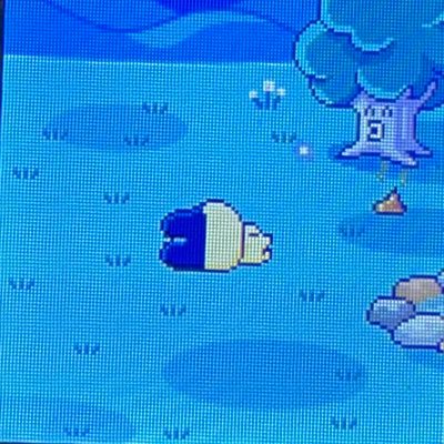 yoshi_hoshi44's profile picture