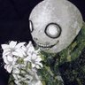 ORTORIUS's profile picture