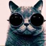 Sammy's profile picture