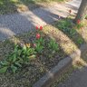 Фото профиля woot