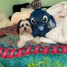 Stitch19's profile picture