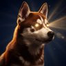 노드 팔라딘 | Node Paladin profil fotoğrafı