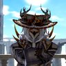 Warp's profile picture