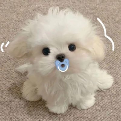 데이ᰔ's profile picture