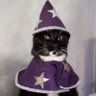 ☾ynnymoon's profile picture