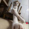 nanastk 的头像