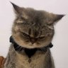 王全有 profil fotoğrafı
