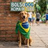 Profilbild von A Bola da Silva 🟩🟨🟦🌈⛪Democracia não teme a crítica