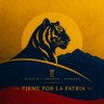 Deyver Florez's profile picture