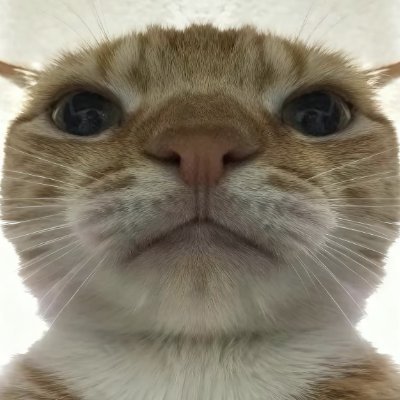 ZaQgs's profile picture