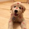💋So KISS ME💖's profile picture