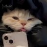 Profilbild von E
