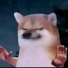 Profilbild von Bob