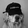 Jasmine's profile picture