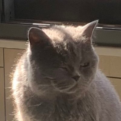 xiaoyi0615080's profile picture