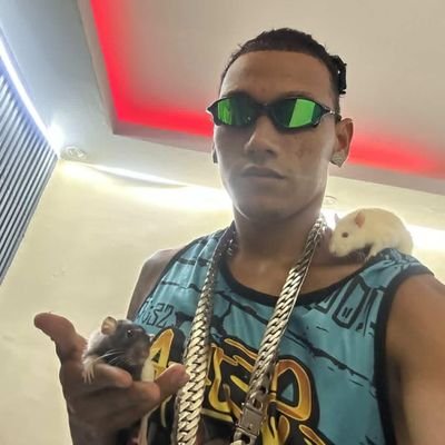 Malvadao Ⓜ️'s profile picture
