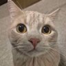 Profilbild von Lil_ili