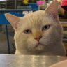 Profilbild von butter