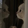 no9_0ne1 的头像