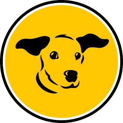 Dogs Trust 💛🐶's profile picture