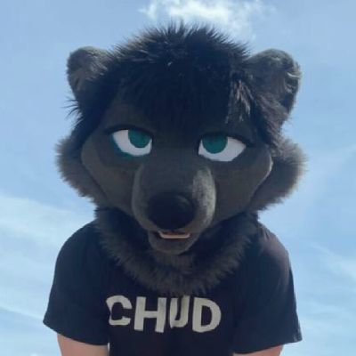Hytealracc's profile picture