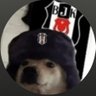 Beşiktaşlı Köpek's profile picture