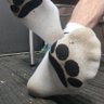 socks 79 profil fotoğrafı