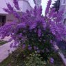 Фото профиля BnSyhn