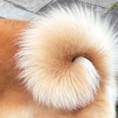 Shyhe_02's profile picture