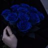 bluerose's profile picture