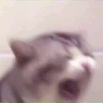 FriendlyGaEsam's profile picture