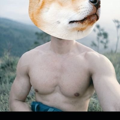徐州钢铁侠's profile picture