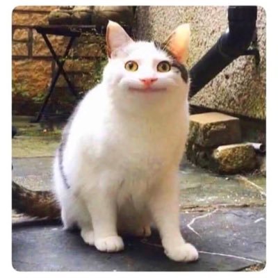 🤎📦's profile picture