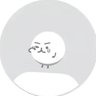 N's profile picture