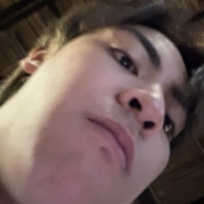 aninha's profile picture