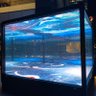 Profilbild von ã¹ãºã
