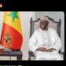 Tania.gou🇸🇳's profile picture