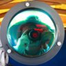 Michael W. Dean's profile picture