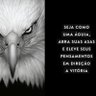 beija flor zass profil fotoğrafı
