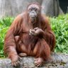 Dan Pyke's profile picture