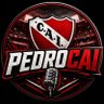 Фото профиля PedroCAI