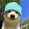 とんとん 的头像