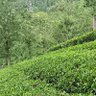 vimalkumar natarajan 的头像