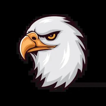 Beşiktaş News Media's profile picture