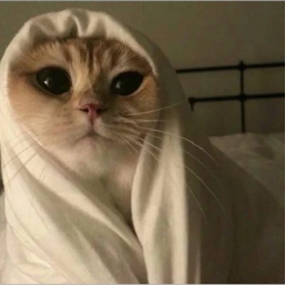 0banenNaser0's profile picture