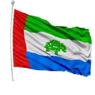 أحمد بن محفوظ الكِندي🌴's profile picture