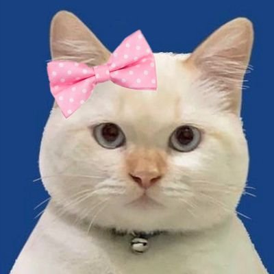Olive 🌿's profile picture
