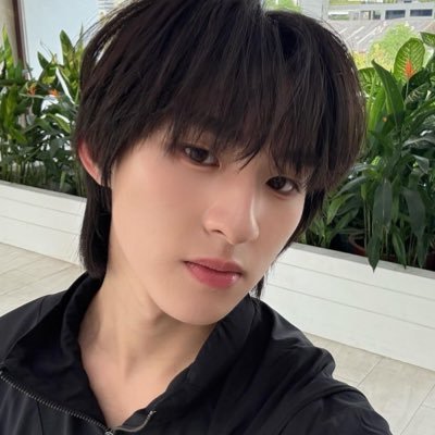risdpl's profile picture
