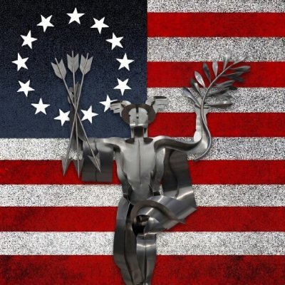 Patriot Dispatches's profile picture