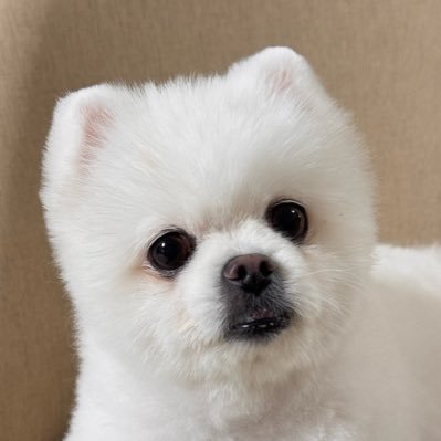 Celestial's profile picture